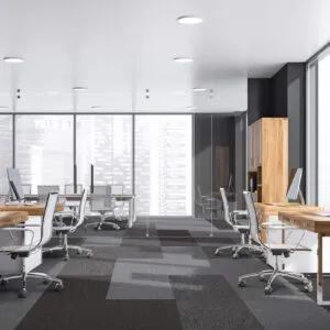 Thảm tiêu âm Landscape