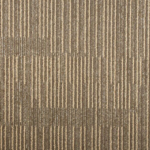 thảm ma 01 phat dat