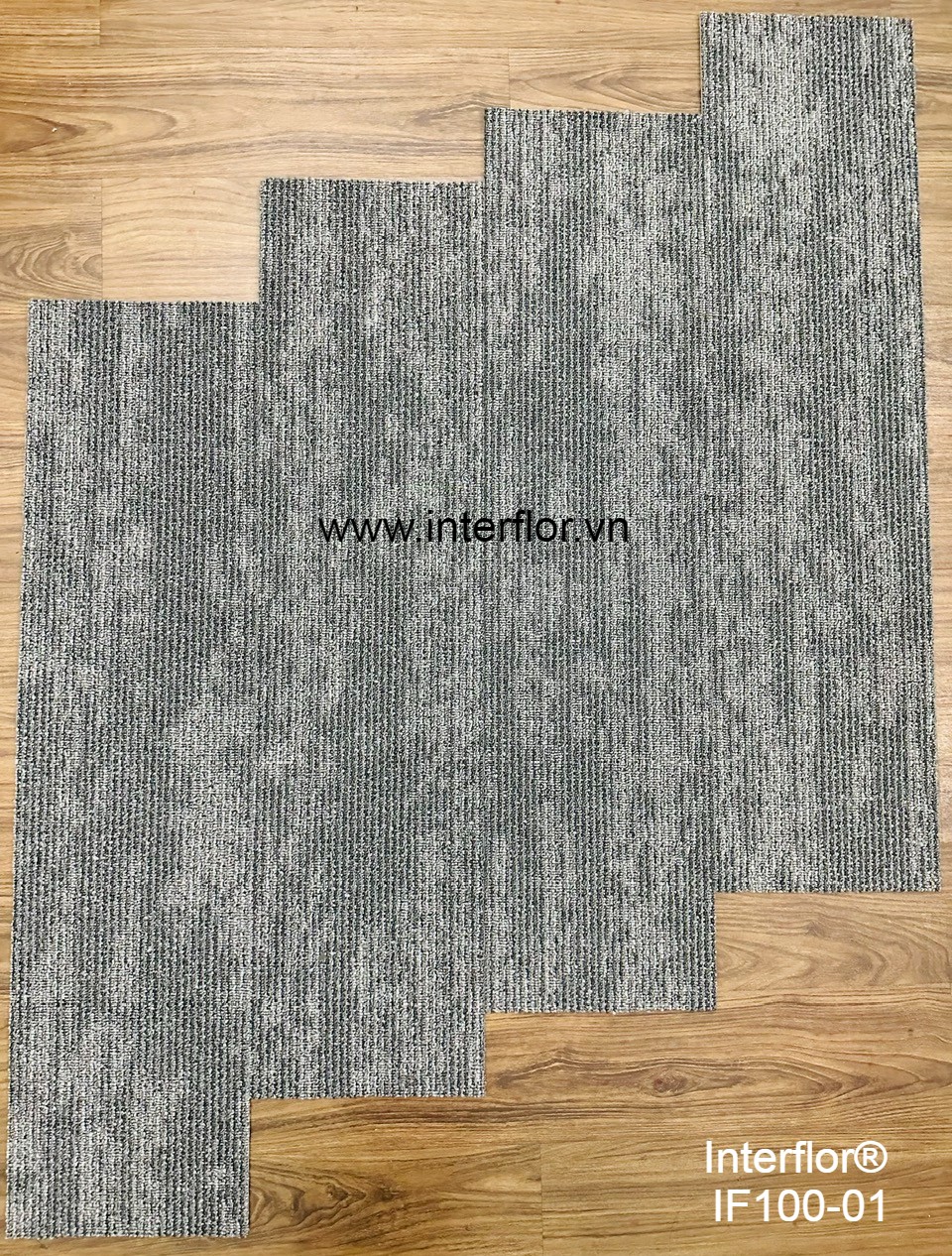 Thảm trải sàn Interflor IF100-01