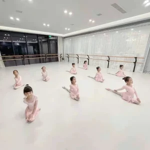 Thảm vinyl trải sàn múa dacing