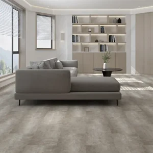 san_vinyl_van_da_IS500