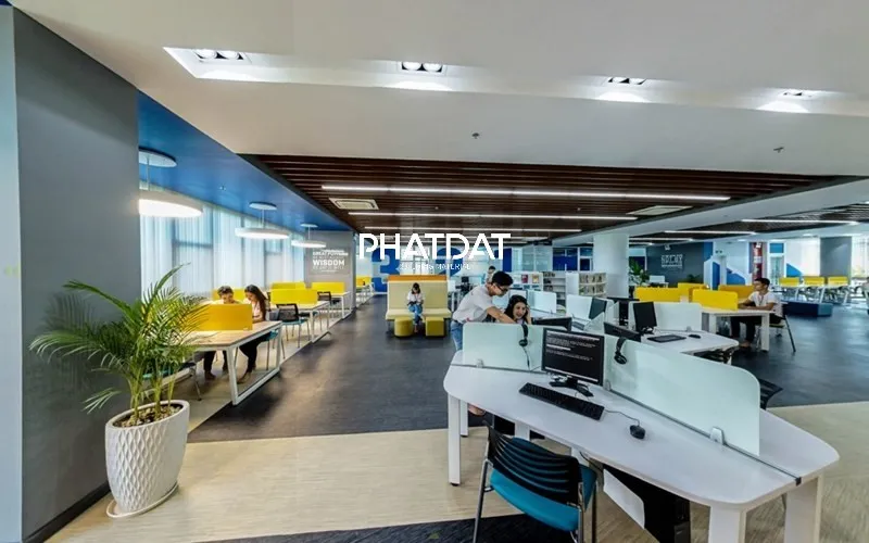 Phối màu sàn LVT Interflor dán keo 2.5li