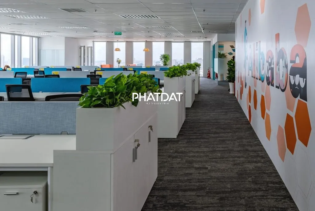 Thảm trải sàn văn phòng Alibaba & Ant. Phát Đạt Group