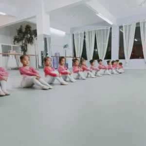 Thảm vinyl sàn múa Interflor màu xám Phát Đạt Group