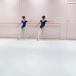 thảm vinyl sàn múa 5mm Phát Đạt Group