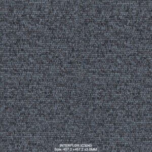 IC3043