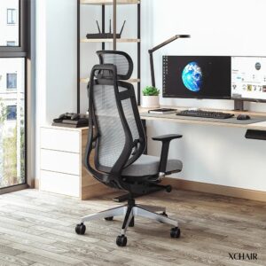Ghế Công Thái Học Xchair LV