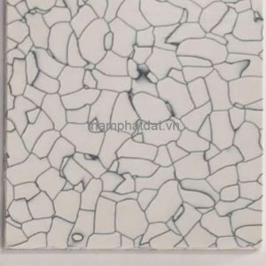 Sàn Vinyl Chống Tĩnh Điện PJD-01
