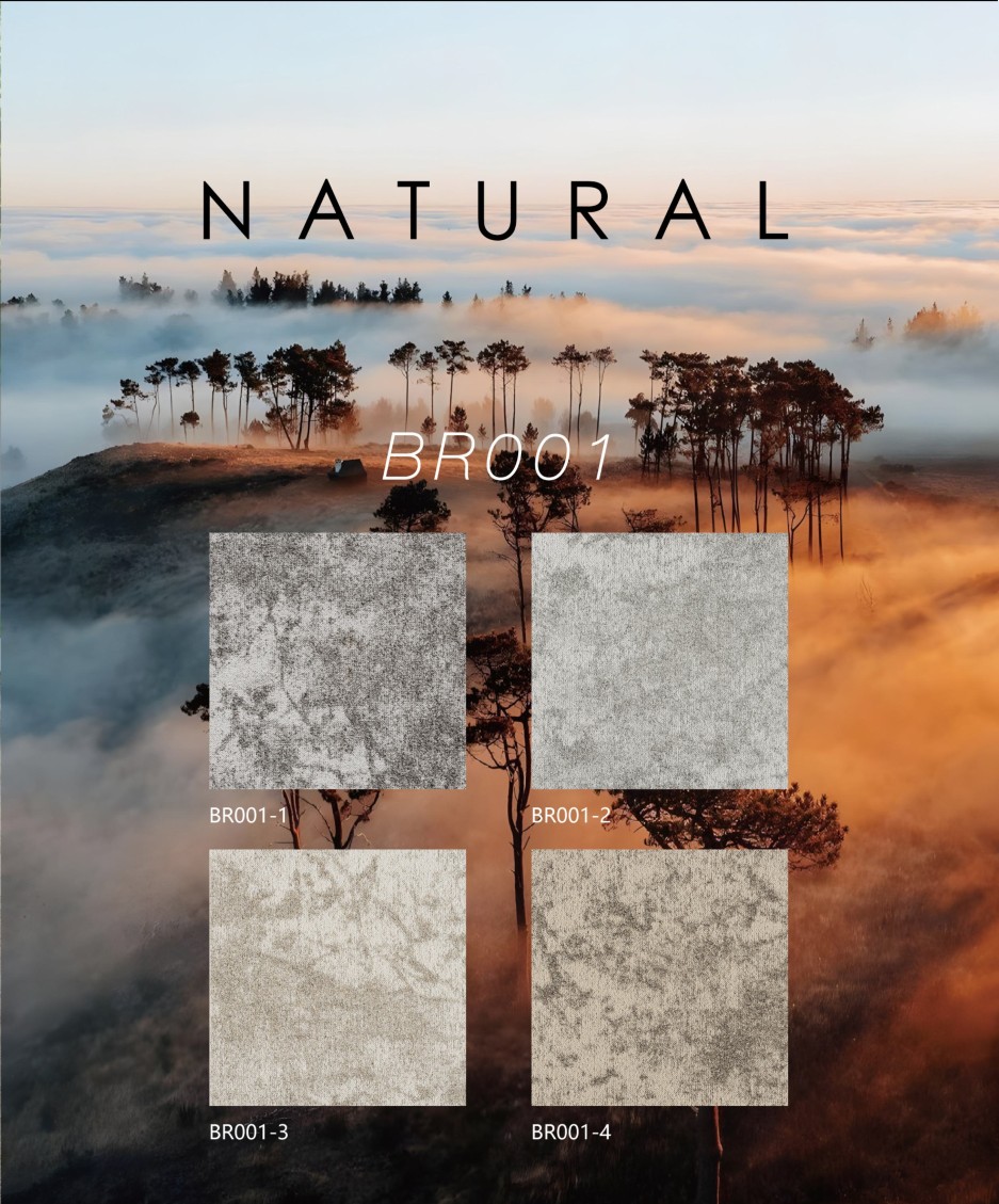 tham-interflor-br001-color Thảm Interflor BR001 - Ảnh 6