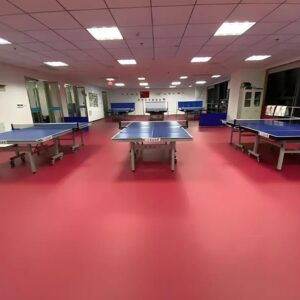 Thảm Thể Thao Table Tennis